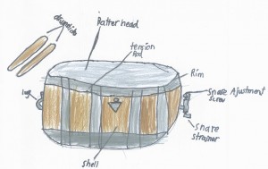 snare