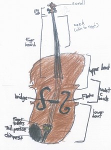 violin